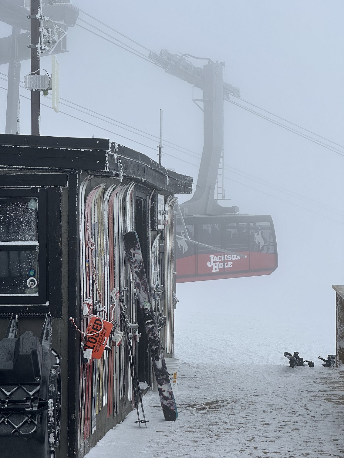 The view of the tram from the top when skiing at Jackson Hole